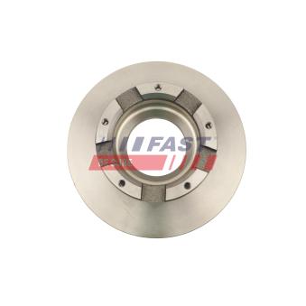 Jeu de 2 disques de frein arrière FAST FT31533 pour FORD TRANSIT CONNECT 2,0 EcoBlue - 150cv