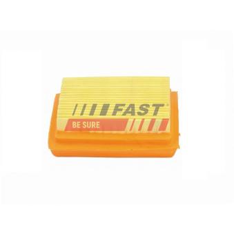 Filtre à air FAST OEM 1945831