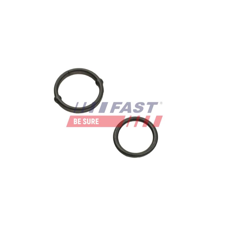 Joint d'étanchéité, pompe à huile FAST FT38804 - Visuel 1
