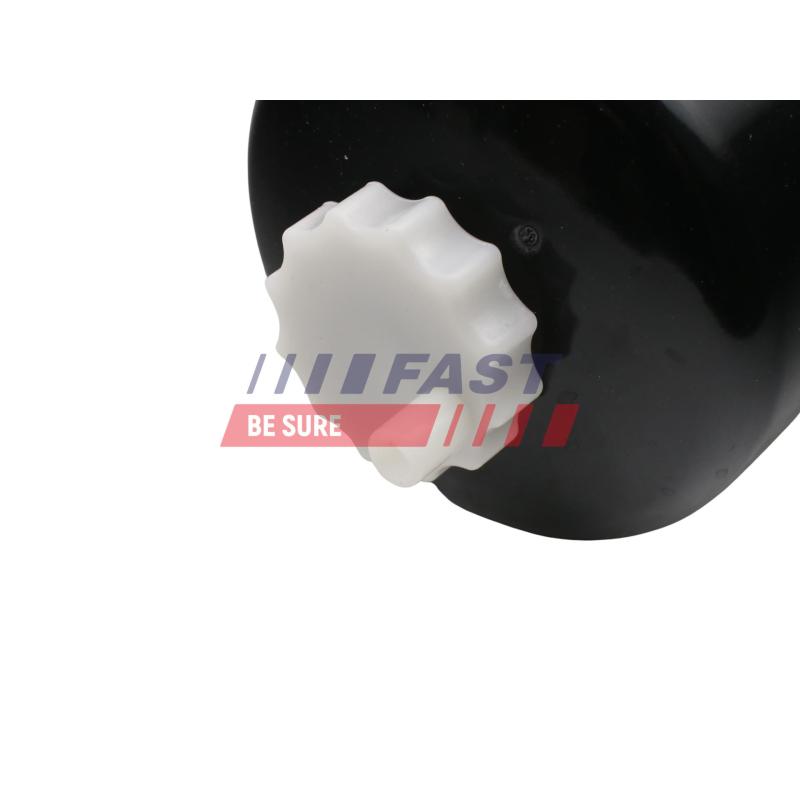 Filtre, unité d'alimentation de carburant FAST FT39121 - Visuel 2