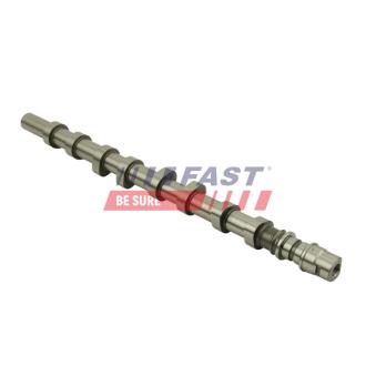 Arbre à came FAST OEM 8200019181 Arbre à came FAST OEM 8200019181