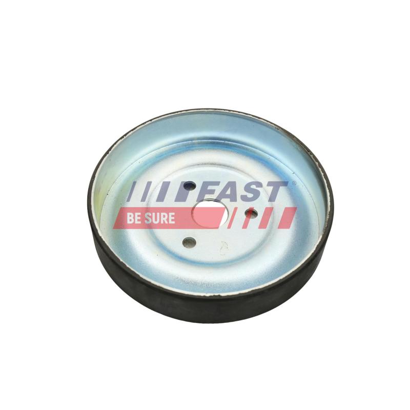 Poulie, pompe à eau FAST FT45568 - Visuel 1