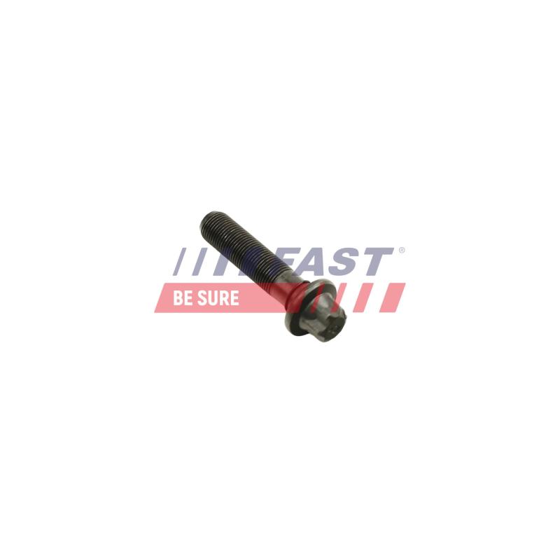 Vis de poulie FAST FT45901 - Visuel 1