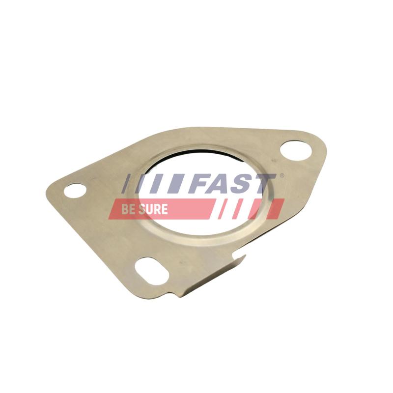 Joint, sortie de turbine FAST FT48812 - Visuel 1