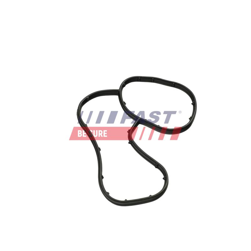 Bague d'étanchéité, refroidisseur d'huile (lubrification) FAST FT48941 - Visuel 1