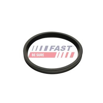 Bague d'étanchéité, gaine de suralimentation FAST OEM 1655800Q0F