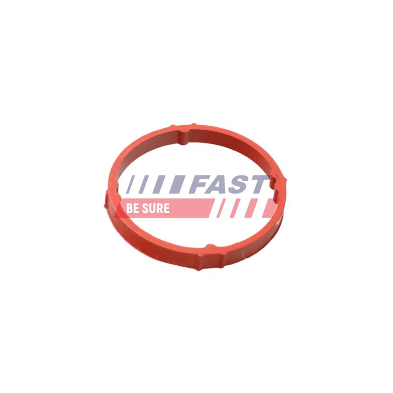 Joint tuyau d'aspiration, alimentation d'air FAST FT48958 - Visuel 1