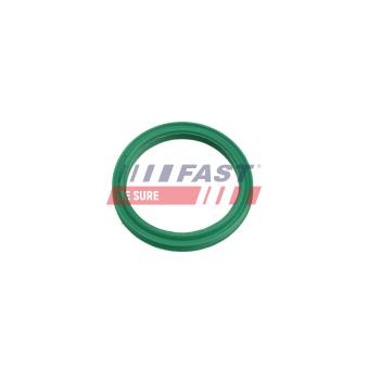 Bague d'étanchéité, gaine de suralimentation FAST FT48962 pour DACIA DOKKER 1.2 TCe - 115cv