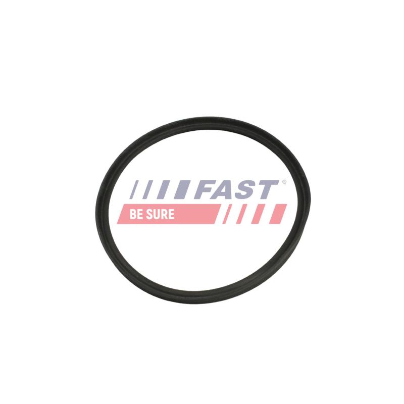 Bague d'étanchéité, gaine de suralimentation FAST FT48965 - Visuel 1