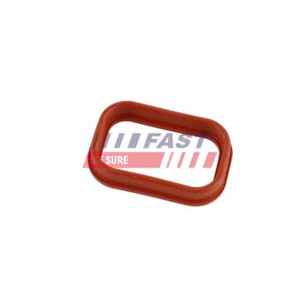 Joint d'étanchéité, collecteur d'admission FAST OEM 9677668180