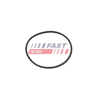 Joint d'étanchéité, collecteur d'admission FAST FT49464