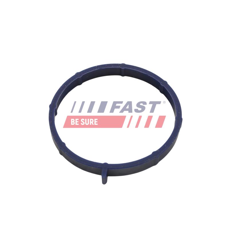 Joint, carter de collecteur d'admission FAST FT49467 - Visuel 1