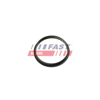 Joint, pompe à vide FAST [FT49853]