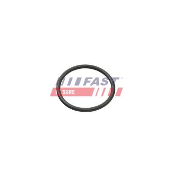 Bague d'étanchéité, gaine de suralimentation FAST [FT49935]