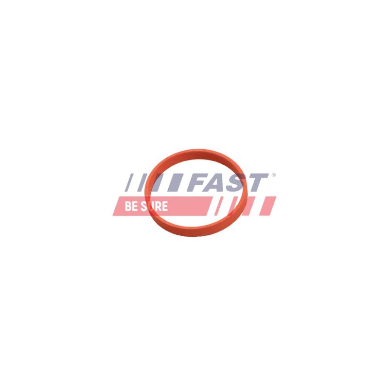 Joint, vanne EGR FAST FT50628 - Visuel 1