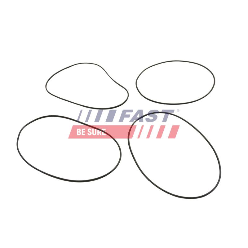 Joint d'étanchéité, chemise de cylindre FAST FT50751 - Visuel 1