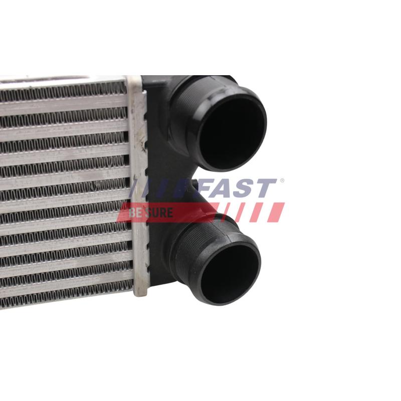 Radiateur basse température, refroid d'air de suralim FAST FT55597 - Visuel 2
