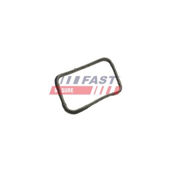 Joint d'étanchéité, thermostat FAST FT58302