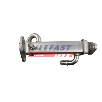 Radiateur, réaspiration des gaz d'échappement FAST OEM 5802528634