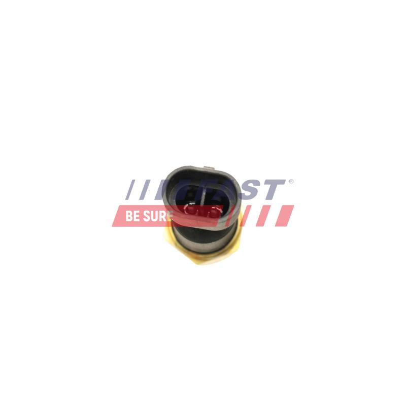 Sonde de température, liquide de refroidissement FAST FT80106 - Visuel 2