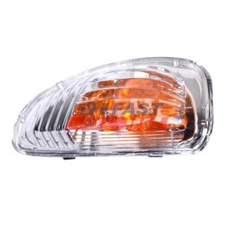 Feu clignotant FAST [FT87330]