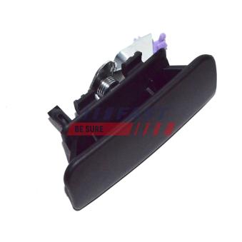 Poignée de porte FAST OEM 1494057