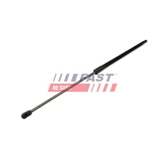 Vérin de hayon, de coffre FAST FT94804