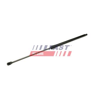 Vérin de hayon, de coffre FAST [FT94814]