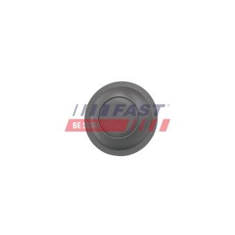 Bouton de verrouillage FAST [FT95590]