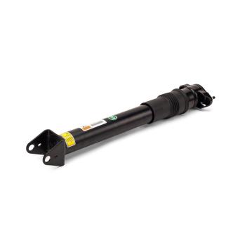 Jeu de 2 amortisseurs arrière Arnott SK-3356