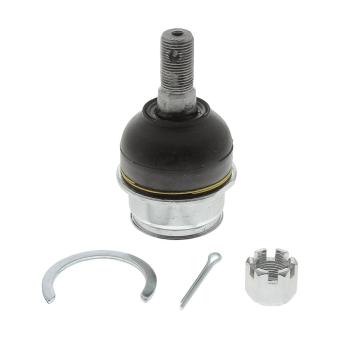 Rotule de suspension MOOG TO-BJ-13862 pour TOYOTA LAND CRUISER 4.5 D4-D - 272cv