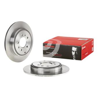 Jeu de 2 disques de frein arrière BREMBO OEM 4246N1