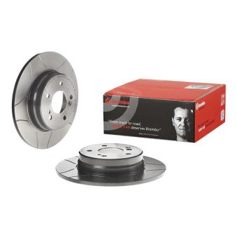 Jeu de 2 disques de frein arrière BREMBO OEM 1244231112