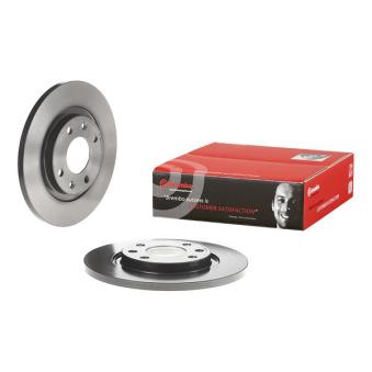 Jeu de 2 disques de frein avant BREMBO OEM 424982