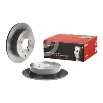 Jeu de 2 disques de frein arrière BREMBO OEM 1611500480