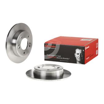 Jeu de 2 disques de frein arrière BREMBO OEM 584113X300
