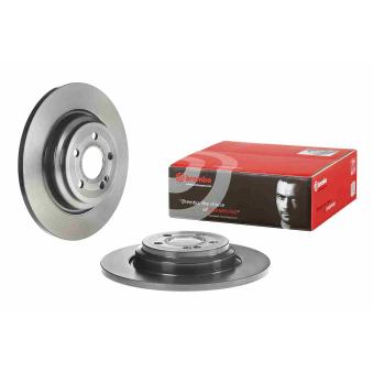 Jeu de 2 disques de frein arrière BREMBO [08.D983.11]