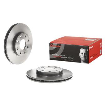 Jeu de 2 disques de frein avant BREMBO OEM 96574632