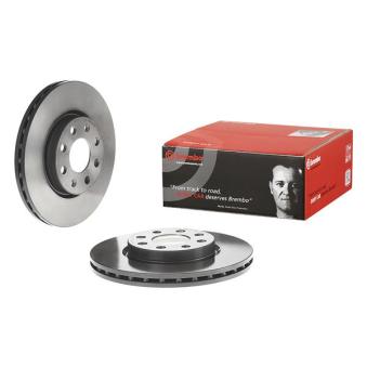 Jeu de 2 disques de frein avant BREMBO OEM 13317922
