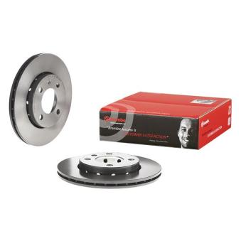 Jeu de 2 disques de frein avant BREMBO OEM 6N0615301F