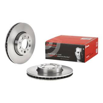 Jeu de 2 disques de frein avant BREMBO OEM 31400739