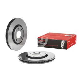 Jeu de 2 disques de frein avant BREMBO OEM 424984