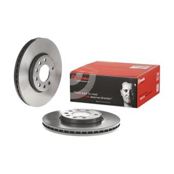 Jeu de 2 disques de frein avant BREMBO OEM 9156807