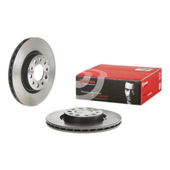 Jeu de 2 disques de frein arrière BREMBO OEM 51760274