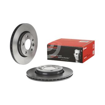 Jeu de 2 disques de frein arrière BREMBO OEM 7E0615601D