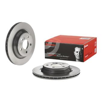 Jeu de 2 disques de frein arrière BREMBO OEM A2204230212
