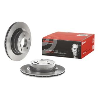 Jeu de 2 disques de frein arrière BREMBO OEM 34216792227