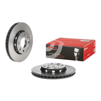 Jeu de 2 disques de frein avant BREMBO OEM 0K2FA33251