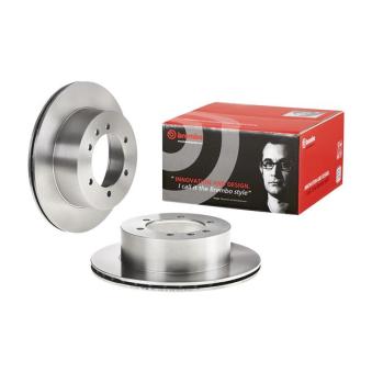 Jeu de 2 disques de frein arrière BREMBO OEM 4320605J03