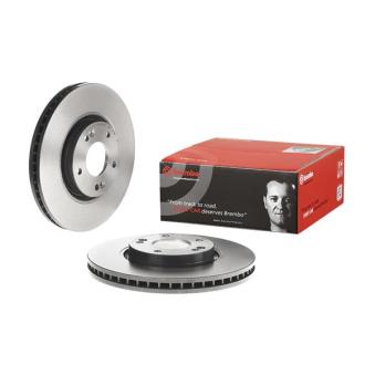 Jeu de 2 disques de frein avant BREMBO [09.A532.21]